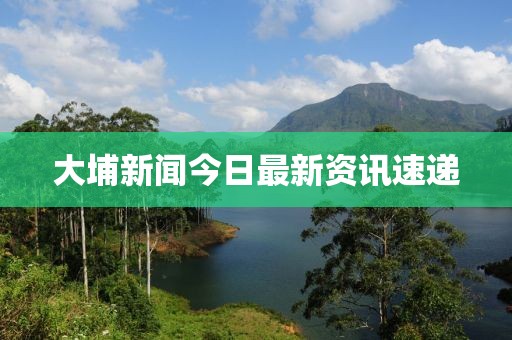 大埔新闻今日最新资讯速递