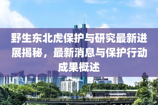野生东北虎保护与研究最新进展揭秘，最新消息与保护行动成果概述
