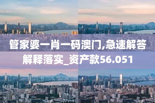 管家婆一肖一码澳门,急速解答解释落实_资产款56.051