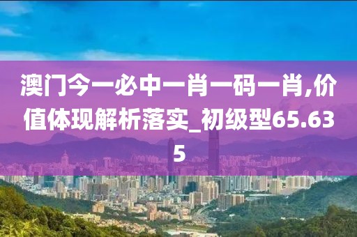 澳门今一必中一肖一码一肖,价值体现解析落实_初级型65.635