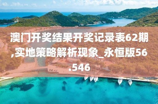澳门开奖结果开奖记录表62期,实地策略解析现象_永恒版56.546