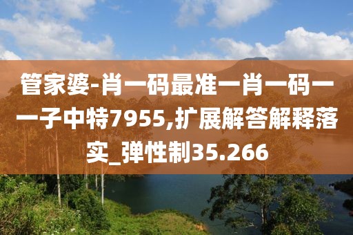 管家婆-肖一码最准一肖一码一一子中特7955,扩展解答解释落实_弹性制35.266