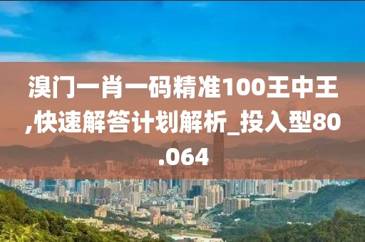 溴门一肖一码精准100王中王,快速解答计划解析_投入型80.064