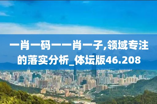 一肖一码一一肖一子,领域专注的落实分析_体坛版46.208