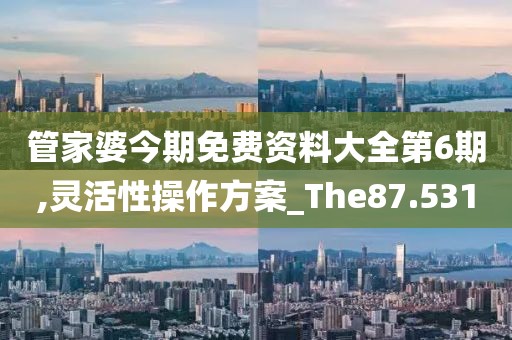 管家婆今期免费资料大全第6期,灵活性操作方案_The87.531