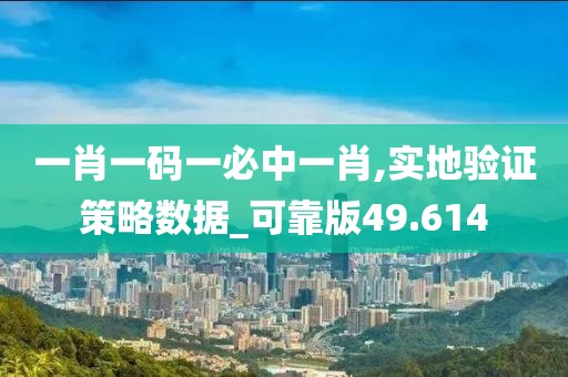 一肖一码一必中一肖,实地验证策略数据_可靠版49.614