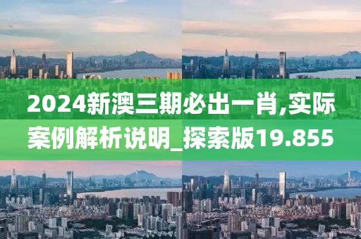 2024新澳三期必出一肖,实际案例解析说明_探索版19.855