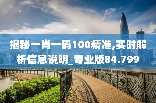 揭秘一肖一码100精准,实时解析信息说明_专业版84.799