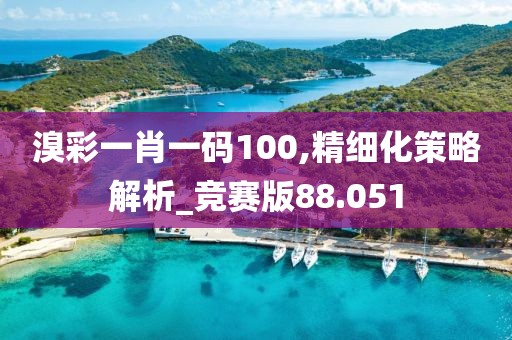 溴彩一肖一码100,精细化策略解析_竞赛版88.051