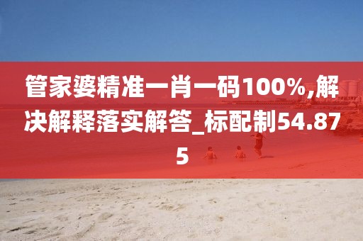 管家婆精准一肖一码100%,解决解释落实解答_标配制54.875