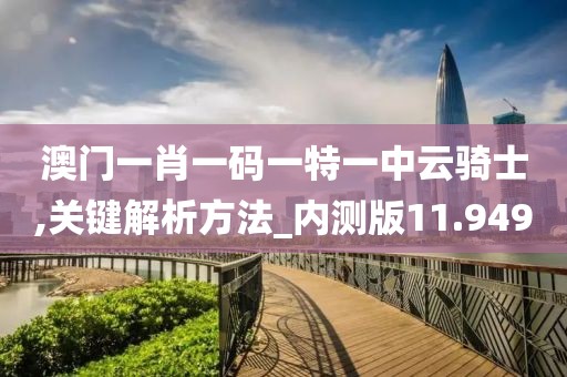 澳门一肖一码一特一中云骑士,关键解析方法_内测版11.949