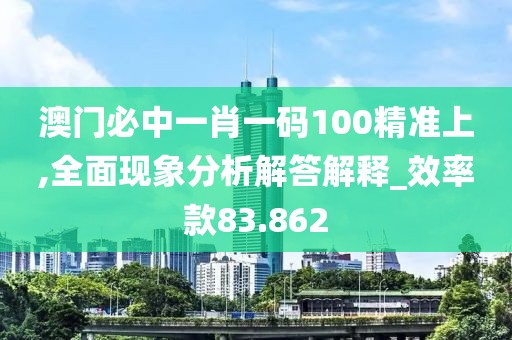 澳门必中一肖一码100精准上,全面现象分析解答解释_效率款83.862