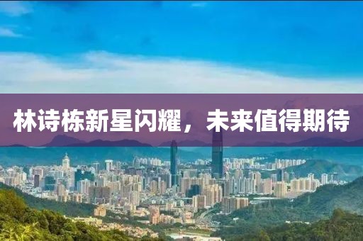 林诗栋新星闪耀，未来值得期待
