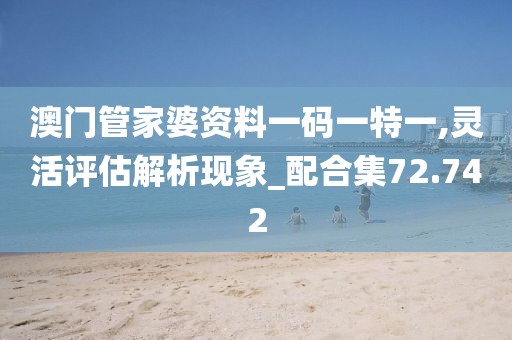澳门管家婆资料一码一特一,灵活评估解析现象_配合集72.742