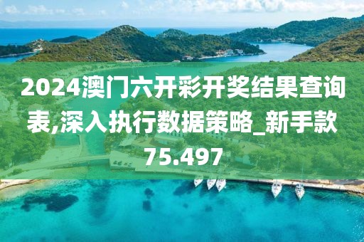 2024澳门六开彩开奖结果查询表,深入执行数据策略_新手款75.497