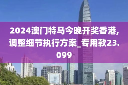 2024澳门特马今晚开奖香港,调整细节执行方案_专用款23.099