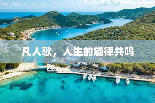 凡人歌，人生的旋律共鸣