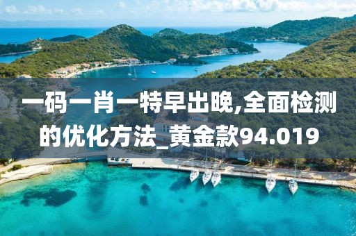 一码一肖一特早出晚,全面检测的优化方法_黄金款94.019