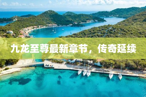 九龙至尊最新章节，传奇延续