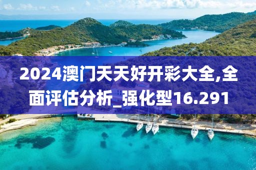 2024澳门天天好开彩大全,全面评估分析_强化型16.291