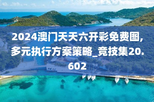 2024澳门天天六开彩免费图,多元执行方案策略_竞技集20.602