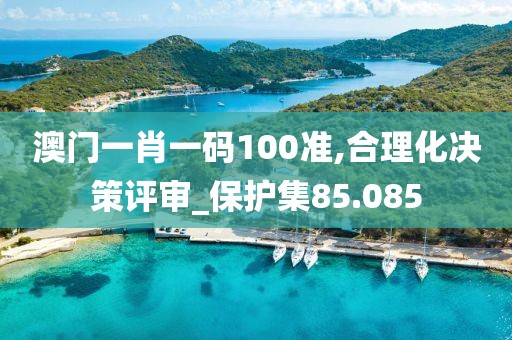 澳门一肖一码100准,合理化决策评审_保护集85.085