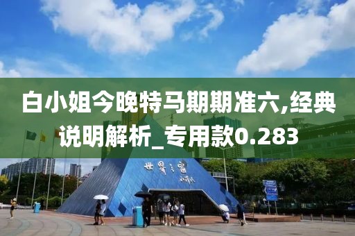白小姐今晚特马期期准六,经典说明解析_专用款0.283