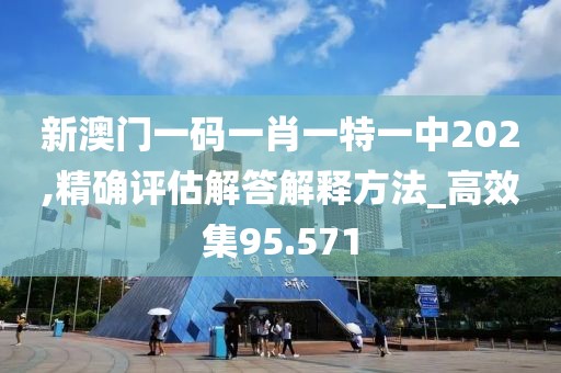 新澳门一码一肖一特一中202,精确评估解答解释方法_高效集95.571