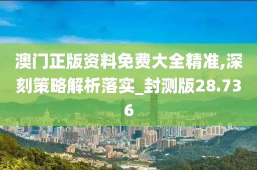 澳门正版资料免费大全精准,深刻策略解析落实_封测版28.736