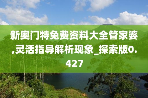 新奥门特免费资料大全管家婆,灵活指导解析现象_探索版0.427