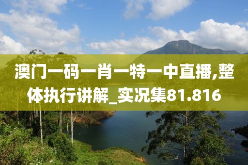 澳门一码一肖一特一中直播,整体执行讲解_实况集81.816
