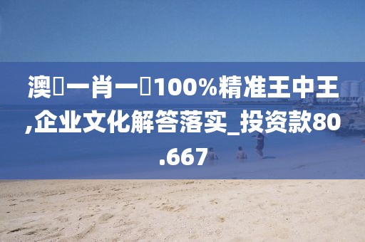 澳門一肖一碼100%精准王中王,企业文化解答落实_投资款80.667