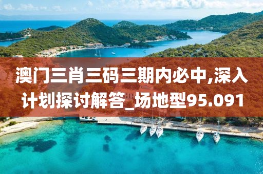 澳门三肖三码三期内必中,深入计划探讨解答_场地型95.091