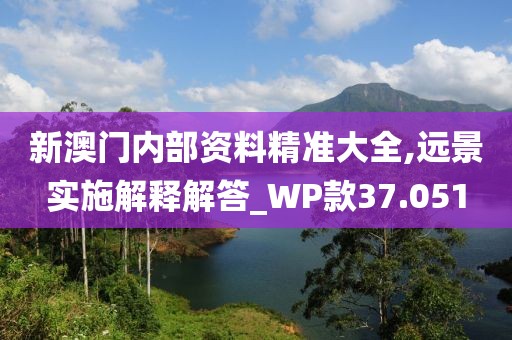 新澳门内部资料精准大全,远景实施解释解答_WP款37.051