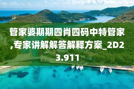 管家婆期期四肖四码中特管家,专家讲解解答解释方案_2D23.911