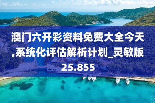 澳门六开彩资料免费大全今天,系统化评估解析计划_灵敏版25.855