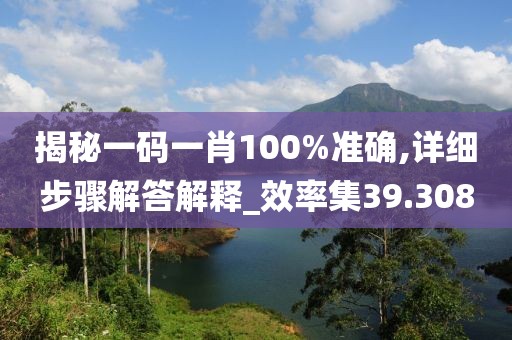 揭秘一码一肖100%准确,详细步骤解答解释_效率集39.308