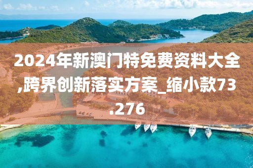 2024年新澳门特免费资料大全,跨界创新落实方案_缩小款73.276