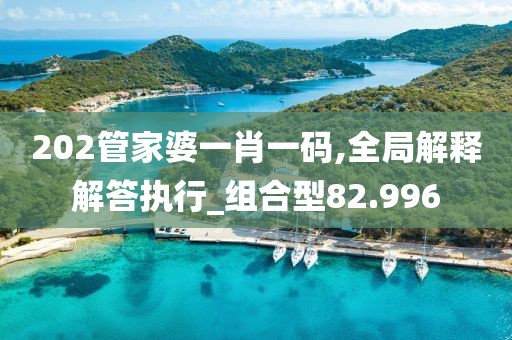 202管家婆一肖一码,全局解释解答执行_组合型82.996