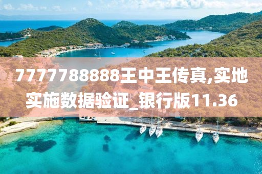 7777788888王中王传真,实地实施数据验证_银行版11.36