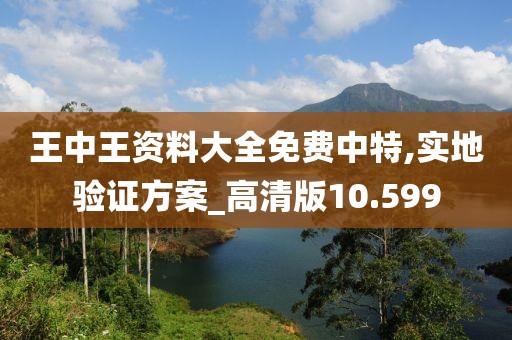 王中王资料大全免费中特,实地验证方案_高清版10.599