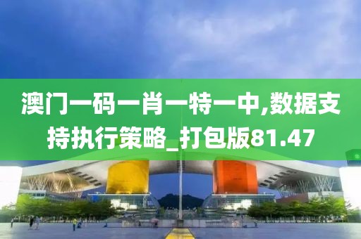 澳门一码一肖一特一中,数据支持执行策略_打包版81.47