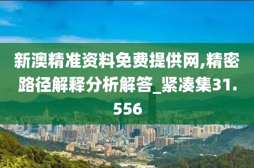 新澳精准资料免费提供网,精密路径解释分析解答_紧凑集31.556