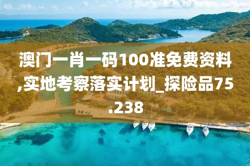 澳门一肖一码100准免费资料,实地考察落实计划_探险品75.238