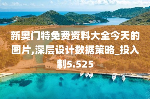 新奥门特免费资料大全今天的图片,深层设计数据策略_投入制5.525