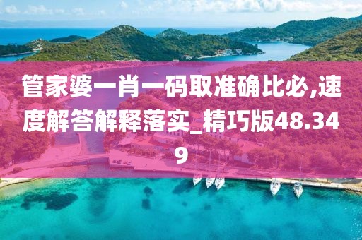 管家婆一肖一码取准确比必,速度解答解释落实_精巧版48.349