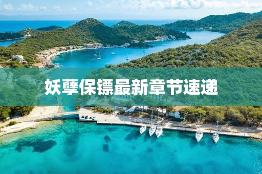 妖孽保镖最新章节速递