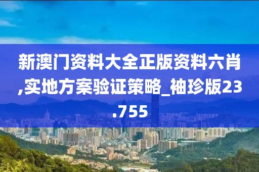 新澳门资料大全正版资料六肖,实地方案验证策略_袖珍版23.755