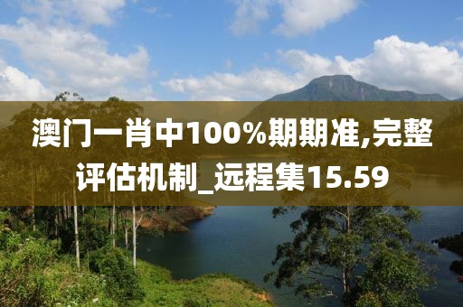 澳门一肖中100%期期准,完整评估机制_远程集15.59