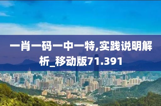 一肖一码一中一特,实践说明解析_移动版71.391